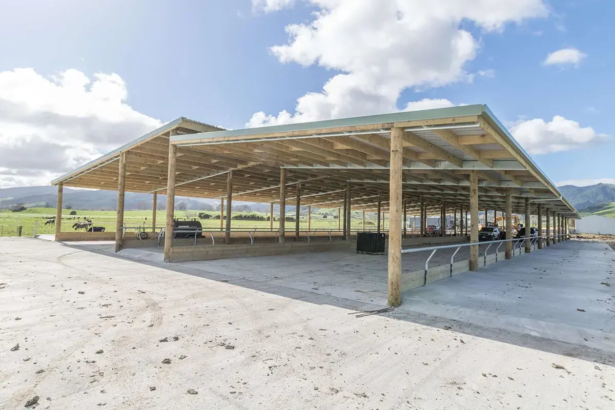 Animal shelters can be both incredibly functional and aesthetically pleasing