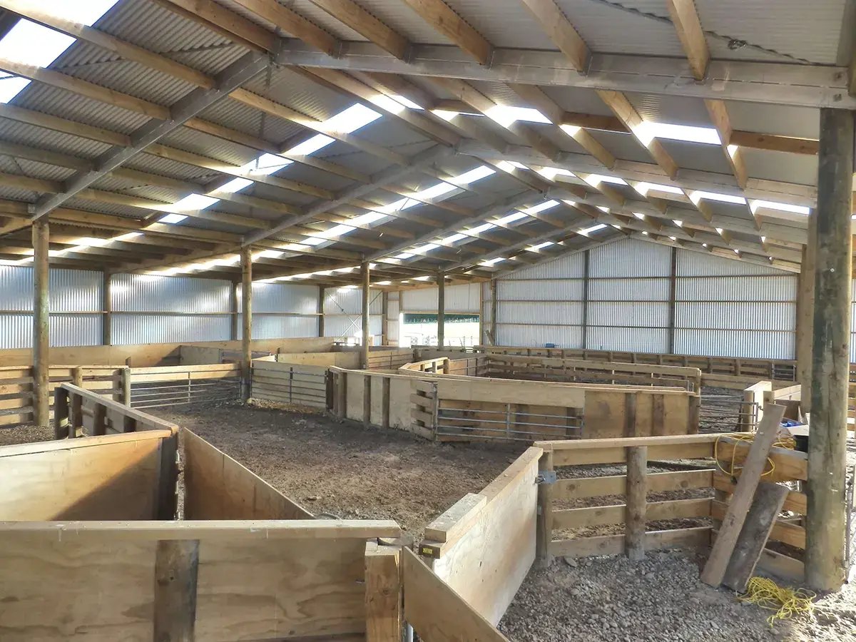 Clear light panels allow for daylight to fill the shelter, keeping it fresh and light