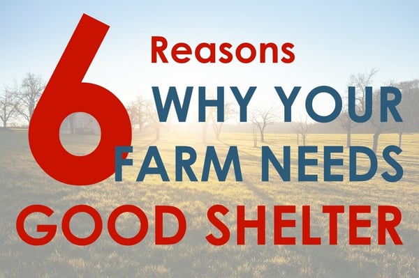 6 reasons your farm needs good shelter