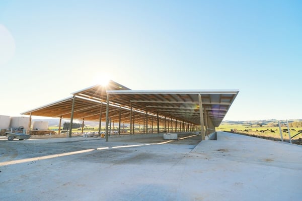 30m wide covered feed pad shed