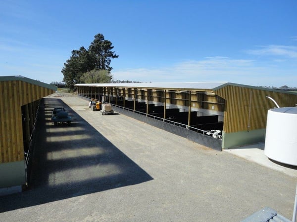 Calf sheds with Bondor panel