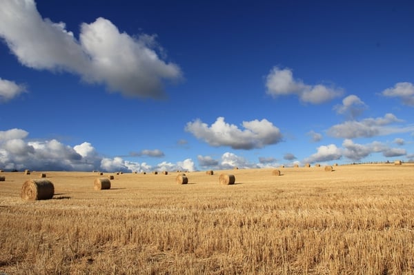 Alpine buildings farm sheds