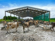 Agricultural sheds for your farm from Alpine Buildings