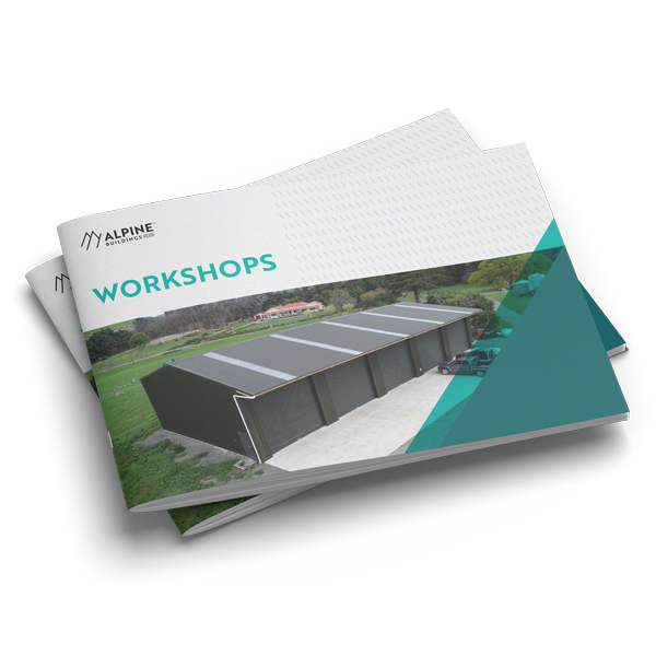 Workshops 