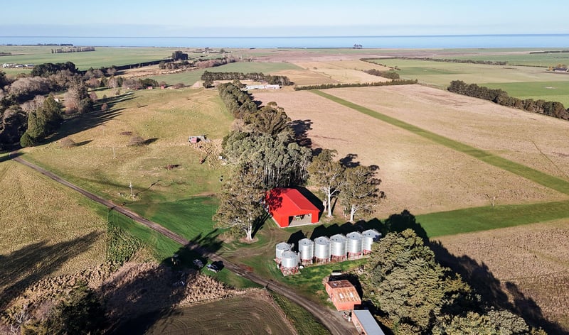 Alastair Studholme — Coldstream Estate, Rangitata