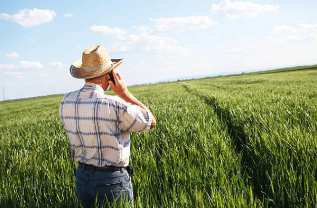 FARMER ON PHONE 