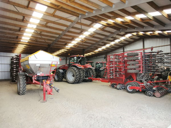 Stop birds from nesting in your shed