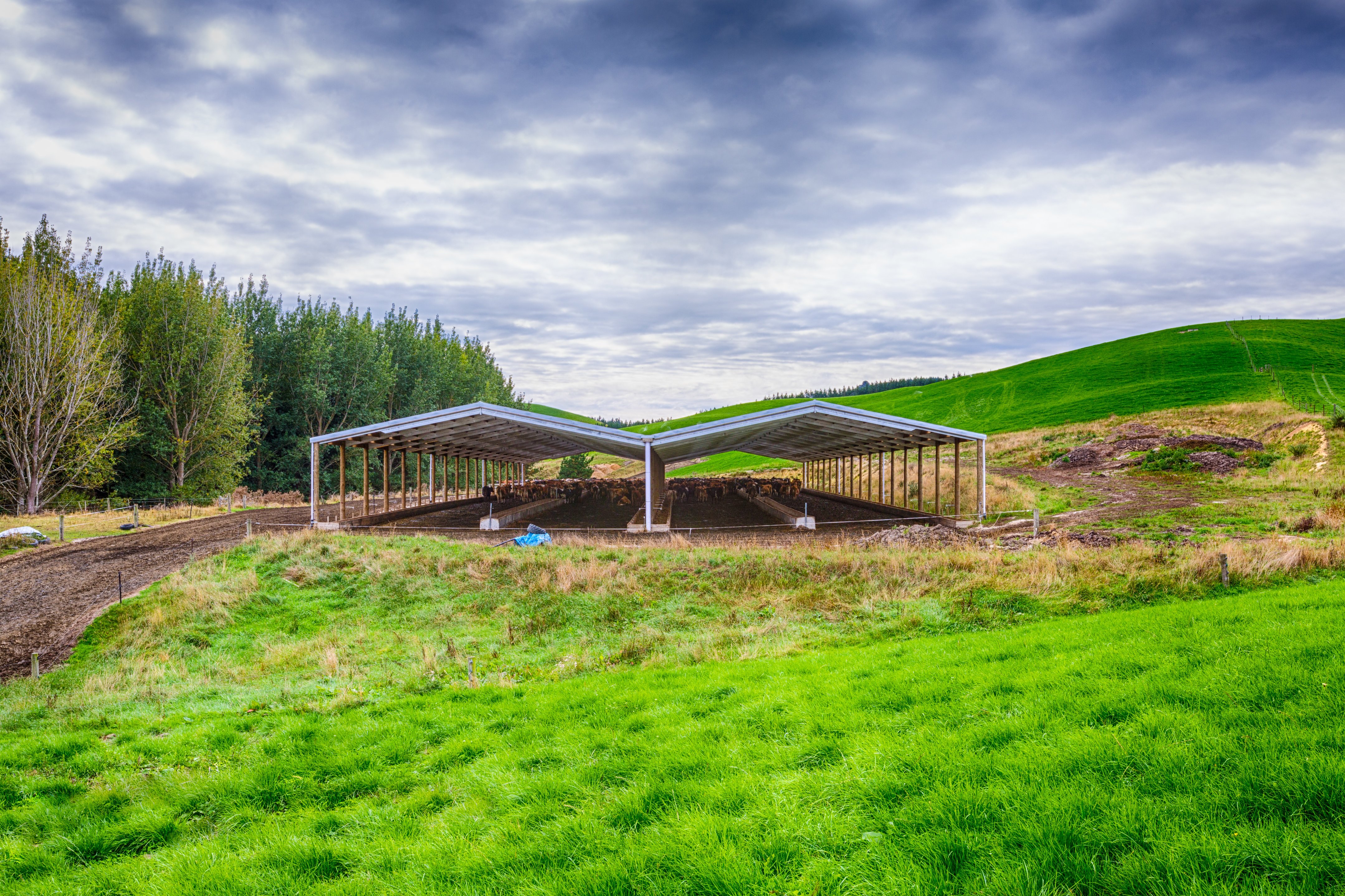 Alpine animal shelter shed in the NZ landscape