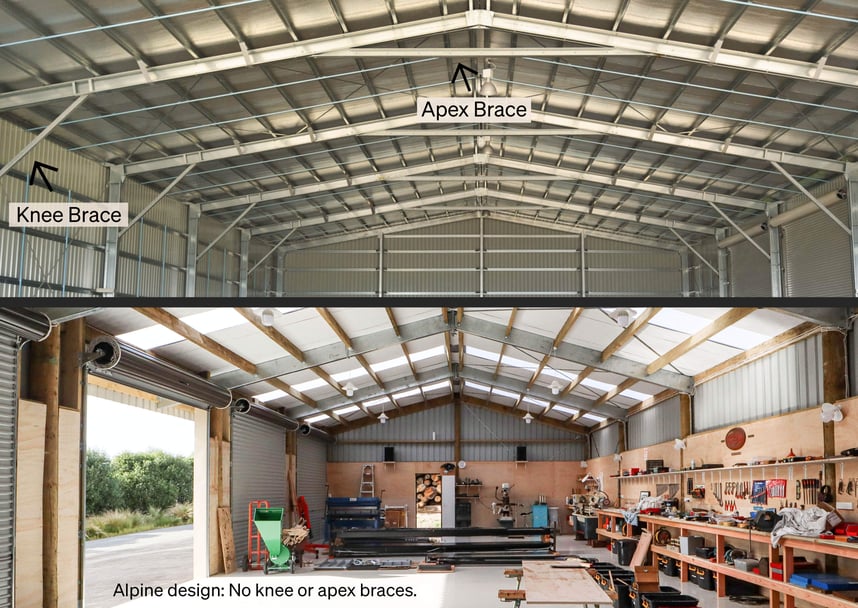 Knee, apex braces steel shed vs Alpine-2