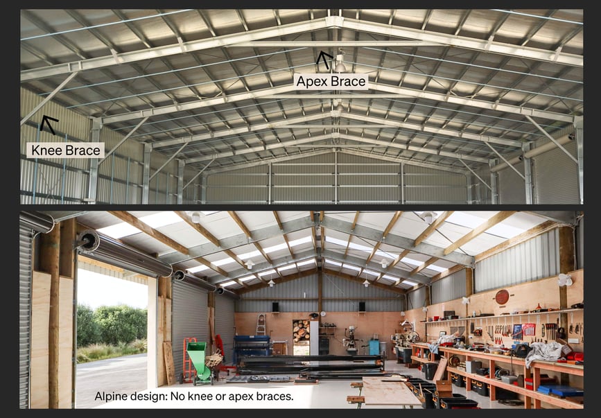 Knee, apex braces steel shed vs Alpine-2