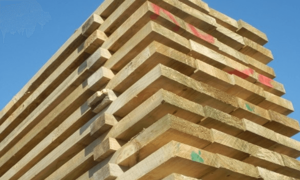 Discover what causes timber to sag