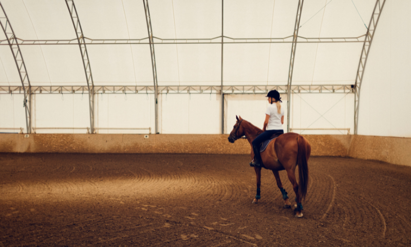 Horse arena