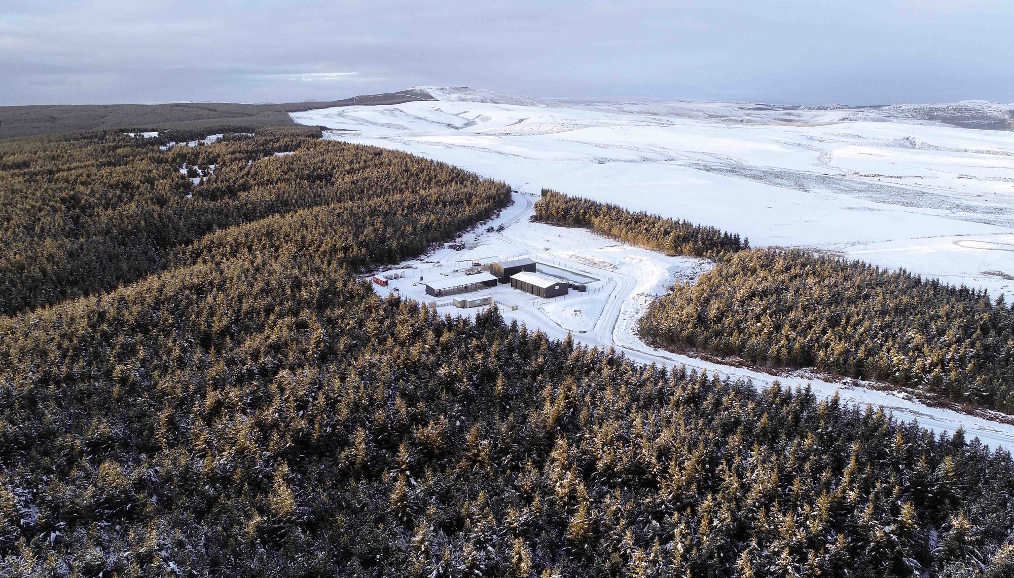 3 Alpine sheds for Port Blakely