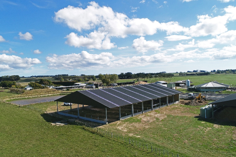 This shed measures a large 22m and is the perfect shed to house the farm animals.