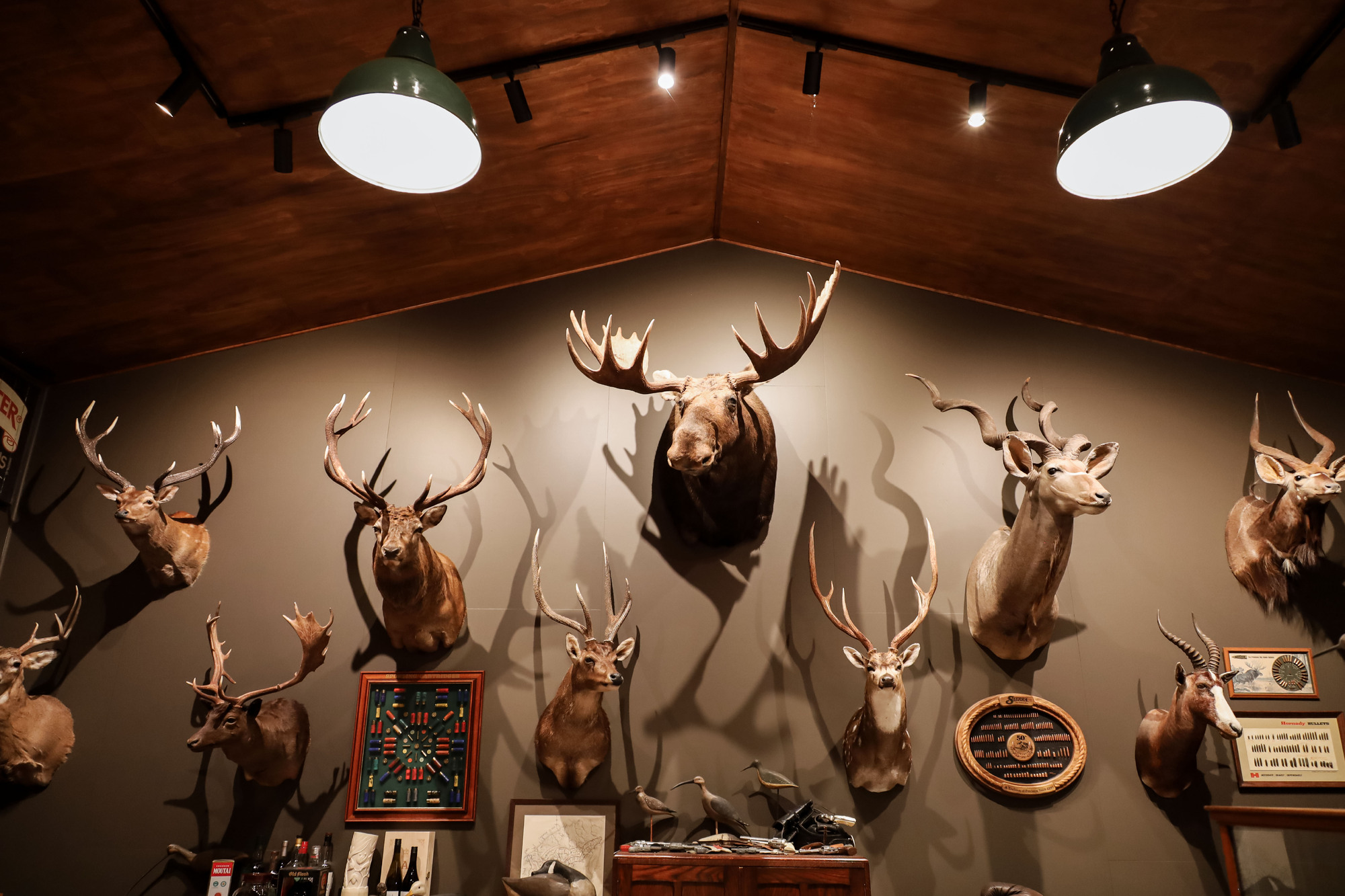Alpine mancave and lifestyle shed