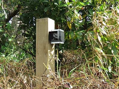 Considering adding sensors outside your farm shed to increase your security