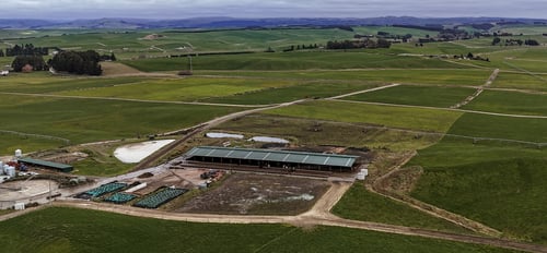 DJI_20250708124333_0024_De-1