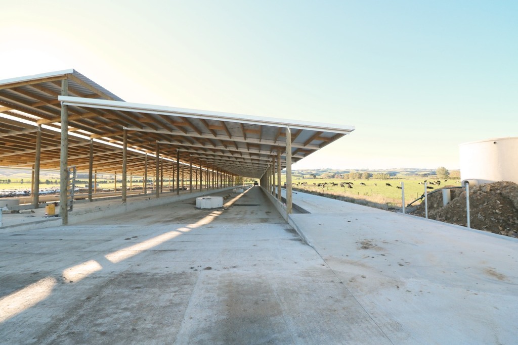 Animal feed pad shed shelter