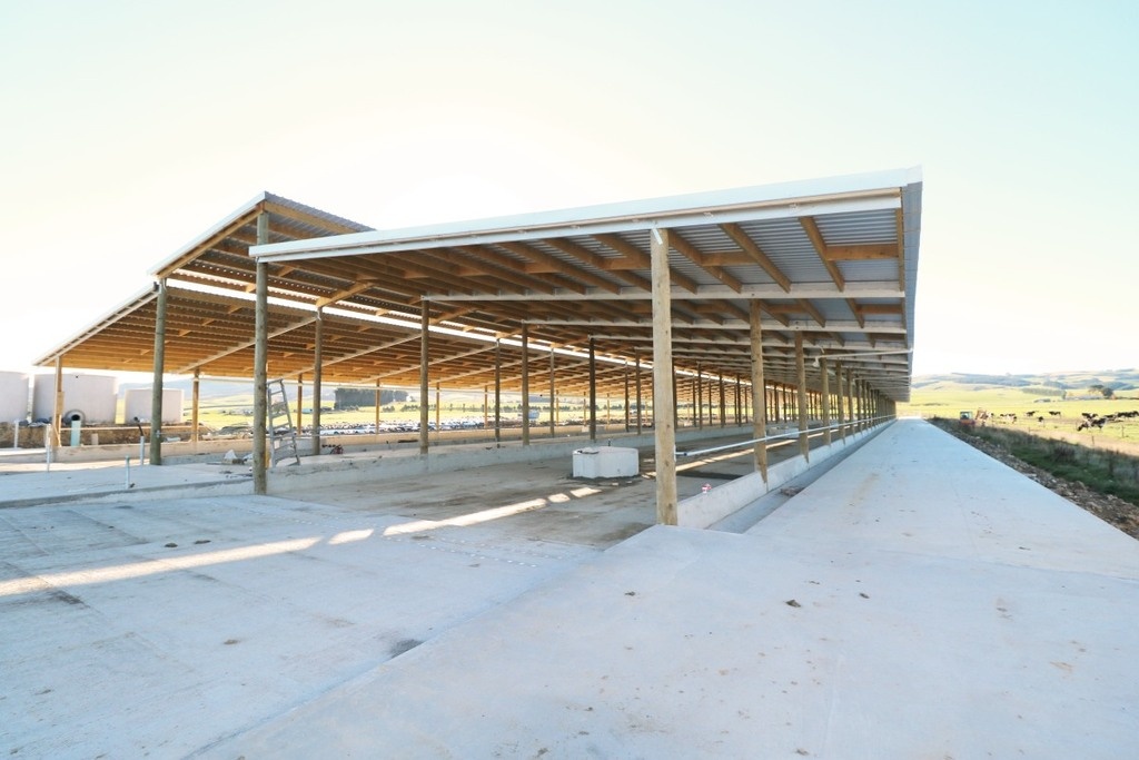 Animal shelter sheds