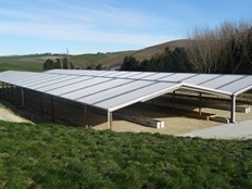 Farm shelter nz