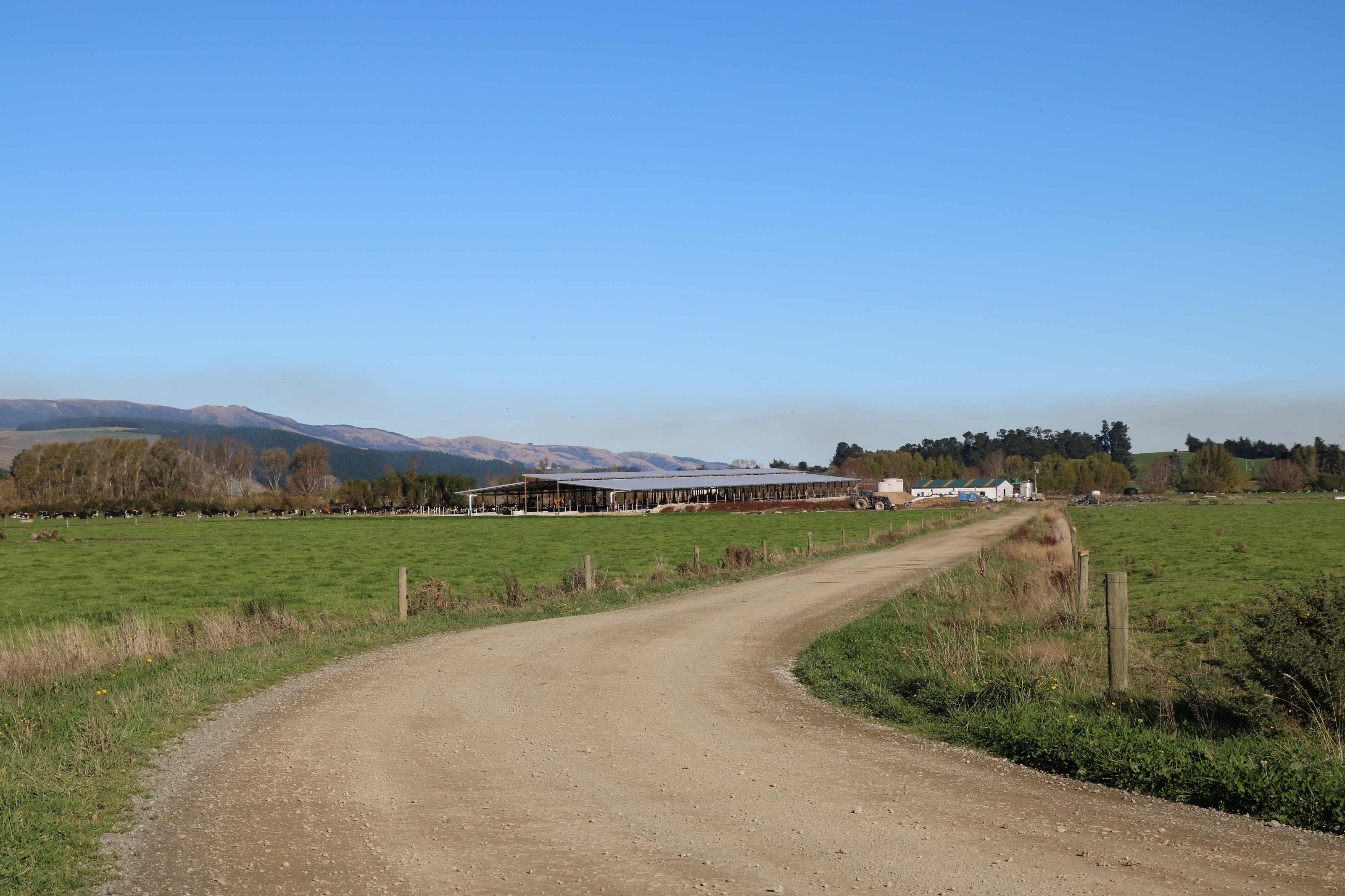 Leading Dairy Farm west Otago Case Study