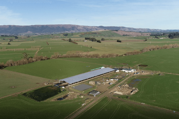 Huge animal shelters across New Zealand farms