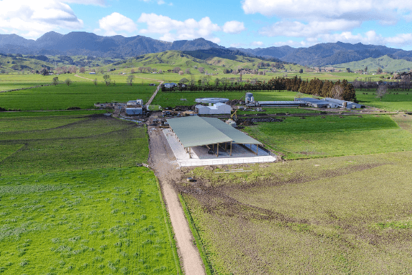 Our animal shelter sheds feature clearspan designs so you and your animals get the maximum space